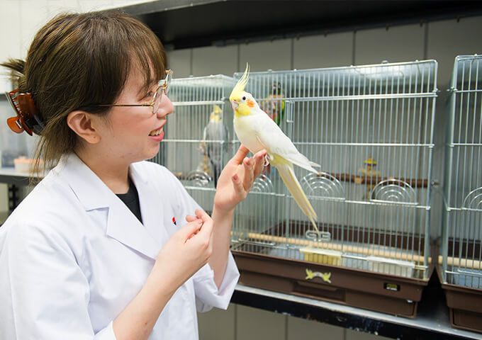 研究対象でも愛情をもって接します