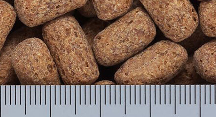 カメプロス ヘルスケア 粒サイズ