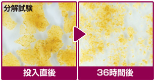 GB菌による分解