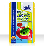 ひかりぷくぷくミドリフグ