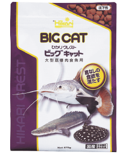 ひかりクレストビッグキャット