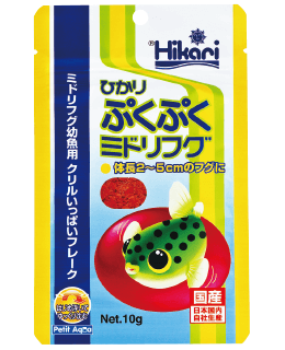 ひかりぷくぷくミドリフグ