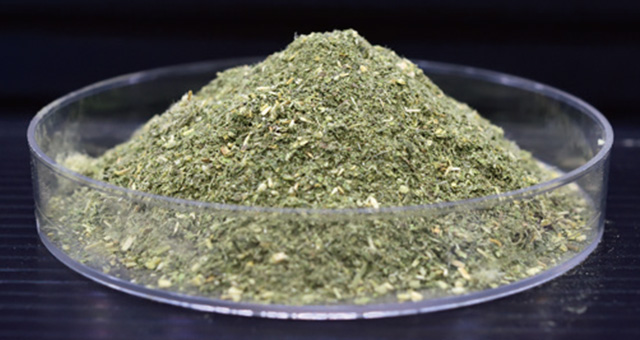 繊維質豊富な桑葉粉末