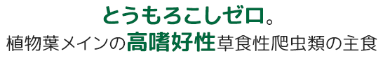 とうもろこしゼロ。植物葉メインの高嗜好性草食性爬虫類の主食
