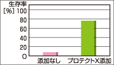 試験方法2