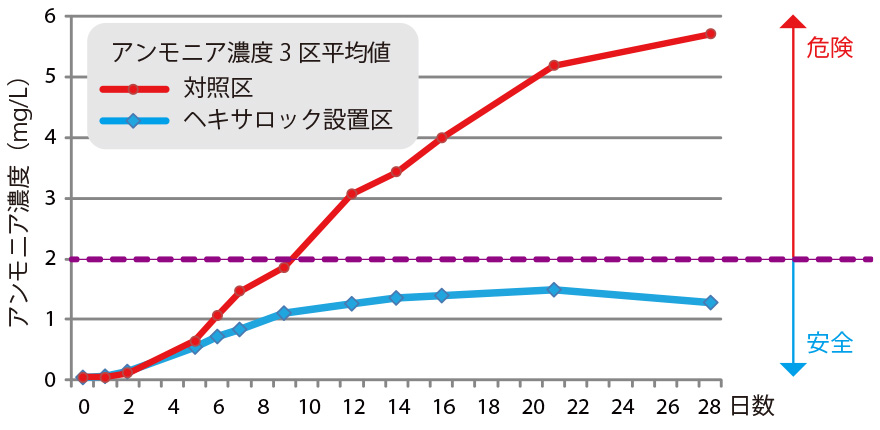 試験結果