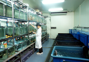生体実験室