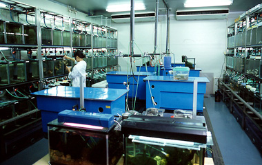 生体実験室