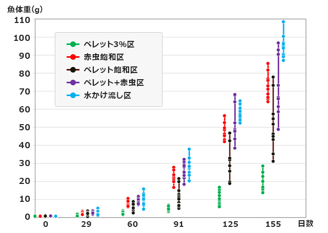 株式会社キョーリン キョーリンクオリティ 山崎研究所 基礎研究 給餌方法でらんちゅうの成長と体形はどう変わるか