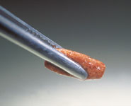 魚は小麦粉を消化できない?